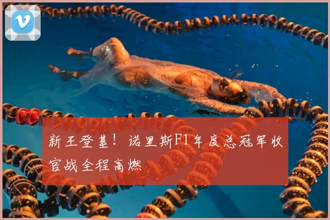 新王登基！诺里斯F1年度总冠军收官战全程高燃