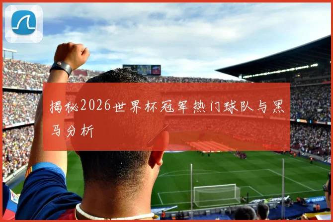 揭秘2026世界杯冠军热门球队与黑马分析